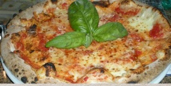 I Fiori Di Zucca Di Mascia Virdo E C. Sas